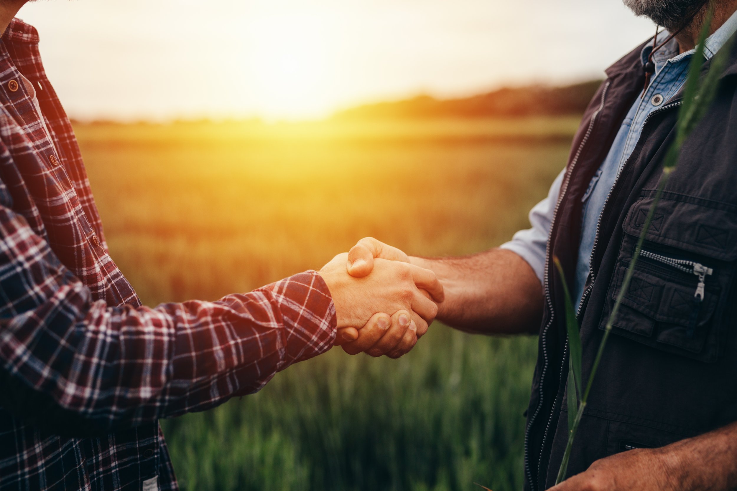 What do grain merchants look for in a seller?