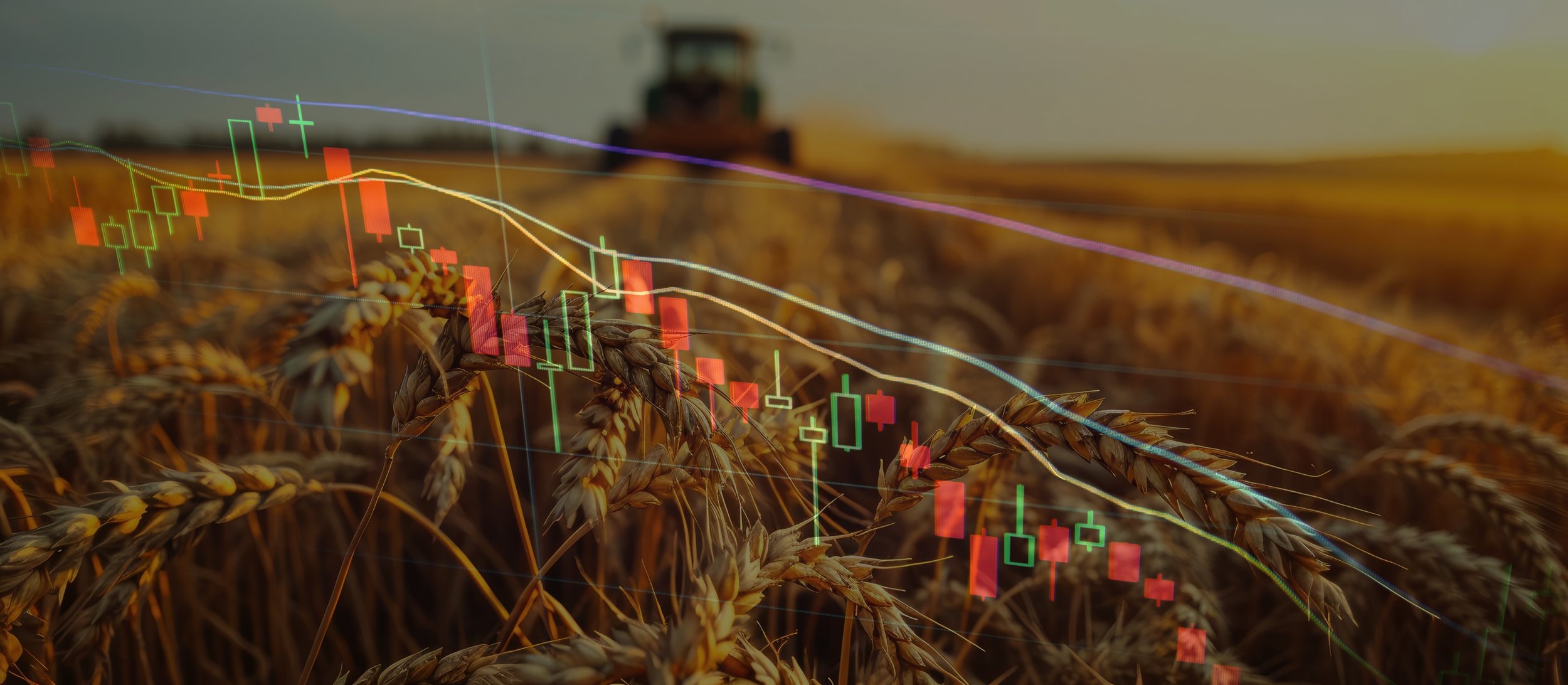 Managing risk in volatile grain markets