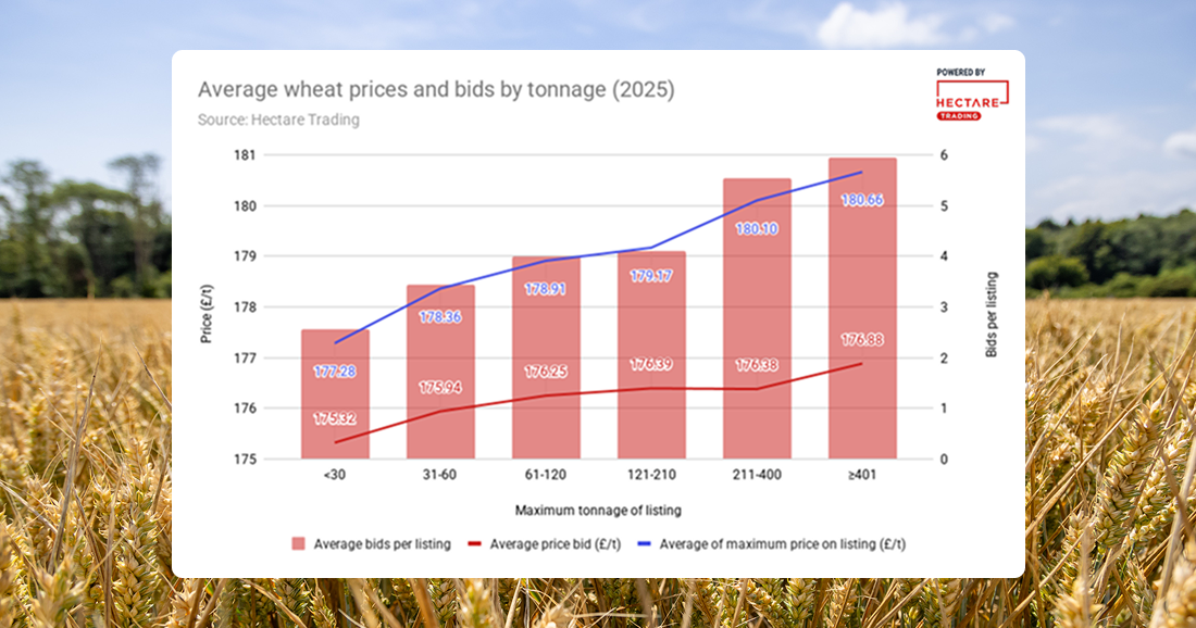 A chart showing the average number of bids and prices achieved on wheat listings on Hectare Trading throughout 2025, and how these both increase as the listing tonnage increases